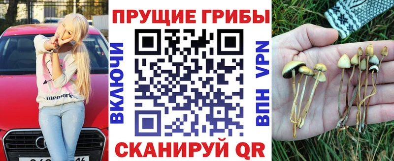 наркошоп  Новоалтайск  Галлюциногенные грибы Magic Shrooms 